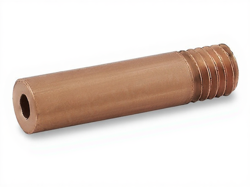 0601-f7acce63-b402-4f28-bc87-8a0c3e12e631